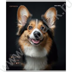 Тетрадь  48л клетка "Портрет фото собак" /лён/ ассорти | Фото 3