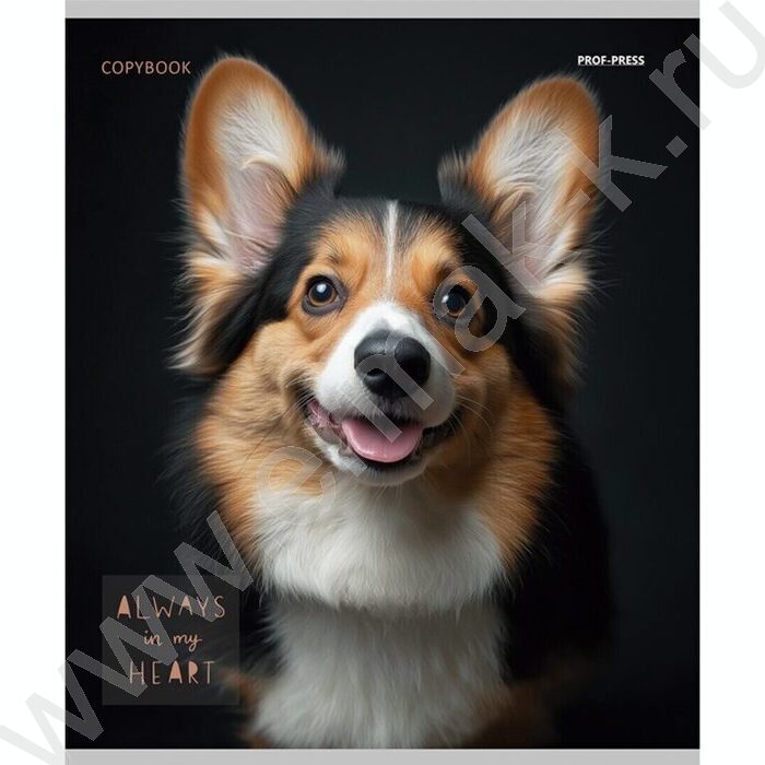 Тетрадь  48л клетка "Портрет фото собак" /лён/ ассорти | Фото 3