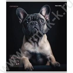 Тетрадь  48л клетка "Портрет фото собак" /лён/ ассорти | Фото 4