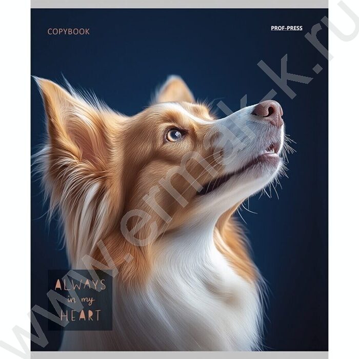 Тетрадь  48л клетка "Портрет фото собак" /лён/ ассорти | Фото 5