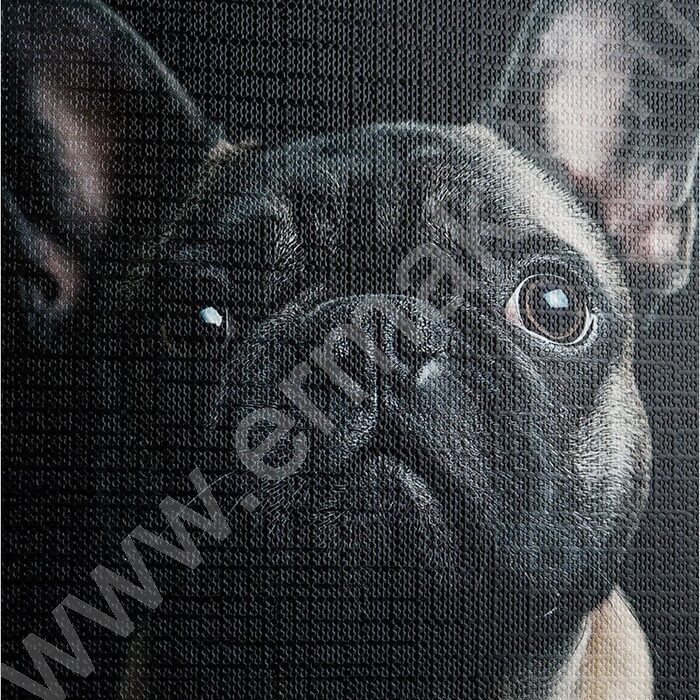 Тетрадь  48л клетка "Портрет фото собак" /лён/ ассорти | Фото 7