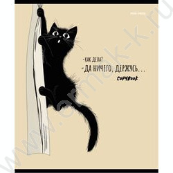 Тетрадь  48л клетка "Чёрный котёнок-1" /лён/ ассорти | Фото 2