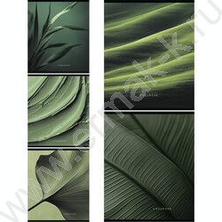 Тетрадь  48л клетка "Макро" /мат.лам/выб.лак/ 5видов | Фото 1