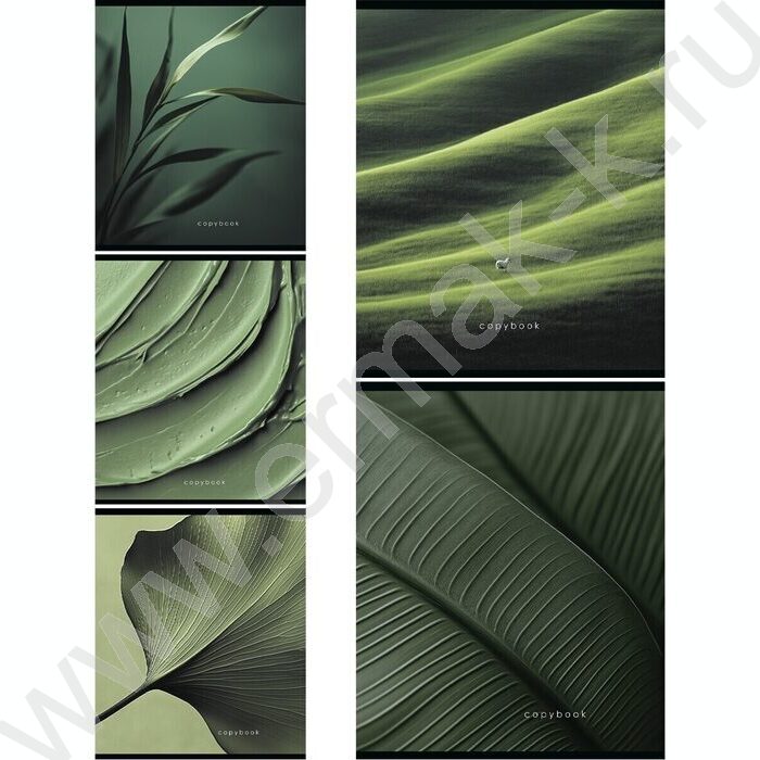 Тетрадь  48л клетка "Макро" /мат.лам/выб.лак/ 5видов | Фото 1