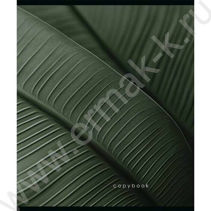 Тетрадь  48л клетка "Макро" /мат.лам/выб.лак/ 5видов | Фото 3