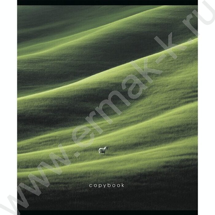 Тетрадь  48л клетка "Макро" /мат.лам/выб.лак/ 5видов | Фото 4