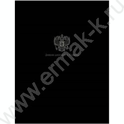 Дневник 1-11кл. /тв.обл./мат.лам./тиснение золотом "Минимализм и герб" | Фото 1