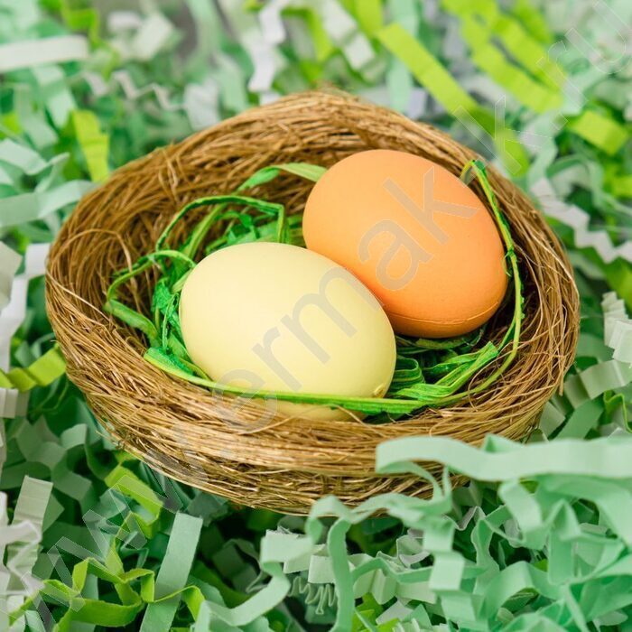 Гнездо с яйцами 5,5см 2 шт/уп | Фото 3