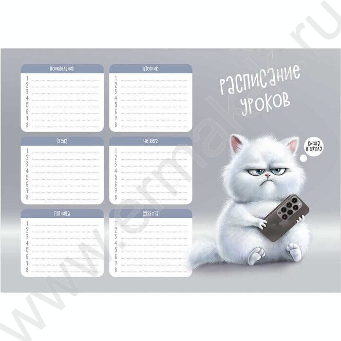 Расписание уроков А4 Сердитый кот /выб.Уф-лак/ | Фото 1