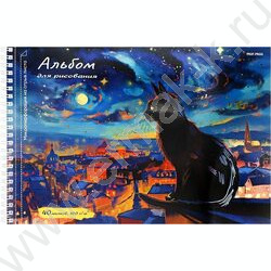 Альбом д/рисования-спираль 40л "Котик и ночной город" /микроперфорация/ | Фото 1