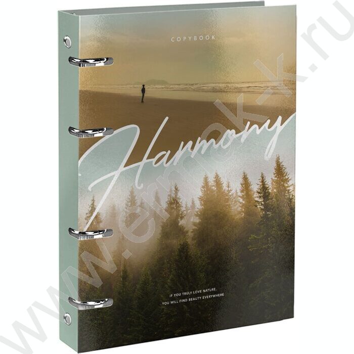 Тетрадь 120л А5+ клетка/кольца "Твой пейзаж" /тв.обл., гл.лам. /4вида | Фото 1
