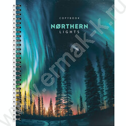 Тетрадь  48л А5+ клетка/спираль "Северное сияние"  /мел. карт., лак /ассорти | Фото 3