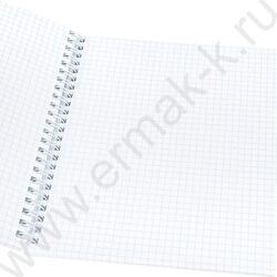 Тетрадь  48л клетка/спираль "Водный пейзаж" ассорти | Фото 4