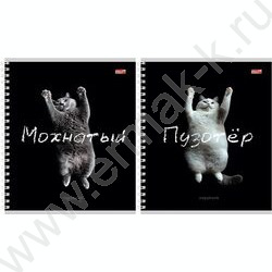 Тетрадь  48л клетка/спираль "Забавные коты-2" ассорти | Фото 1