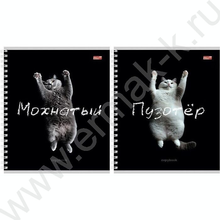 Тетрадь  48л клетка/спираль "Забавные коты-2" ассорти | Фото 1