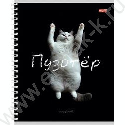 Тетрадь  48л клетка/спираль "Забавные коты-2" ассорти | Фото 2