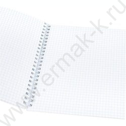 Тетрадь  48л клетка/спираль "Виды природы-6" ассорти | Фото 4