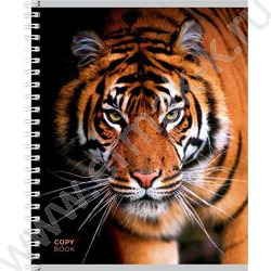 Тетрадь  48л клетка/спираль "Дикие кошачьи-1" ассорти | Фото 2