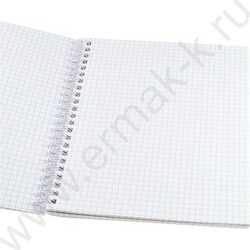 Тетрадь  48л клетка/спираль "Котики с ушками" ассорти | Фото 2