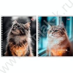 Тетрадь  96л клетка/спираль "Пушистые котики-1" ассорти | Фото 1