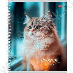 Тетрадь  96л клетка/спираль "Пушистые котики-1" ассорти | Фото 3