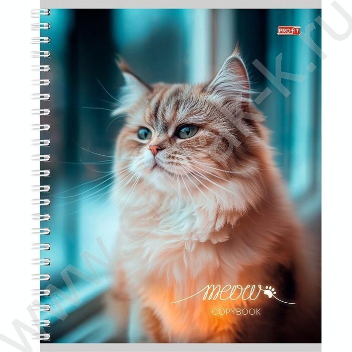 Тетрадь  96л клетка/спираль "Пушистые котики-1" ассорти | Фото 3