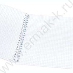 Тетрадь  96л клетка/спираль "Пушистые котики-1" ассорти | Фото 4