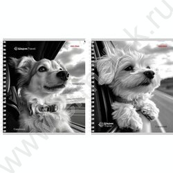 Тетрадь  96л клетка/спираль "Собаки в поездке" ассорти | Фото 1