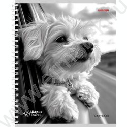 Тетрадь  96л клетка/спираль "Собаки в поездке" ассорти | Фото 3