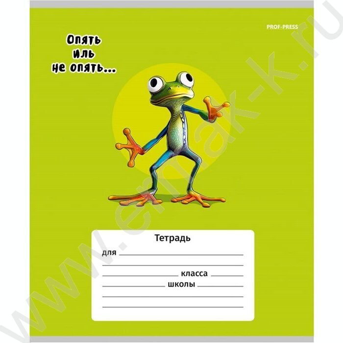 Тетрадь  12л клетка "Жабка" 5видов | Фото 2