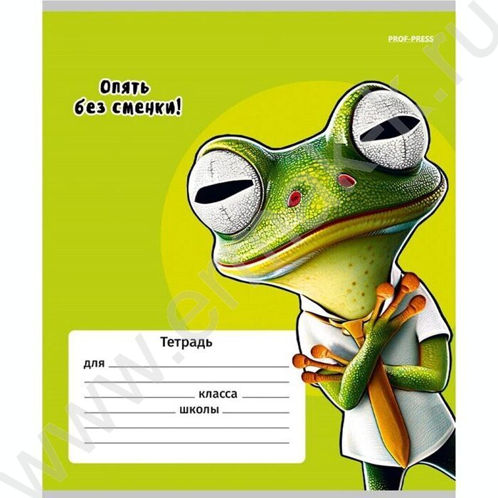 Тетрадь  12л клетка "Жабка" 5видов | Фото 5