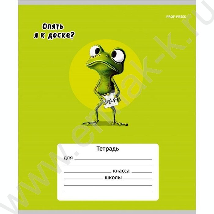 Тетрадь  12л клетка "Жабка" 5видов | Фото 6
