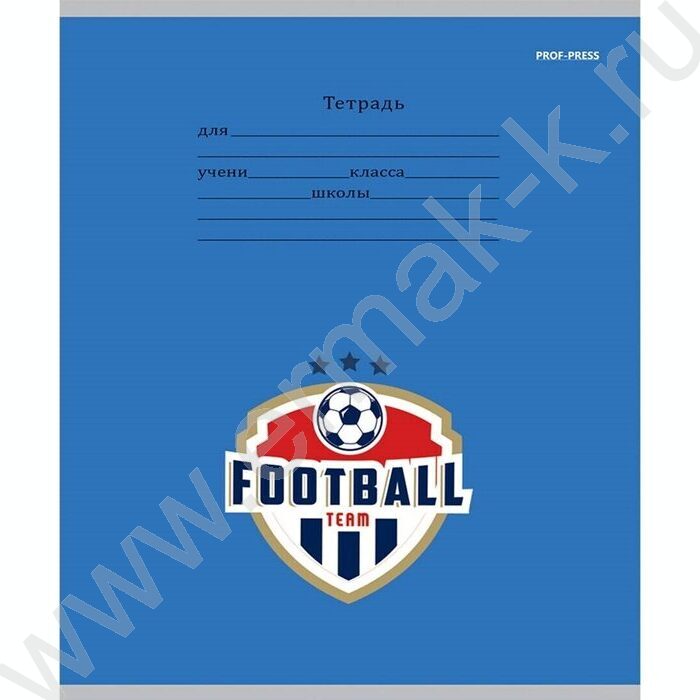 Тетрадь  12л линейка косая "Микс" ассорти | Фото 3