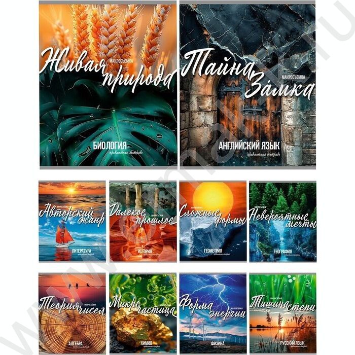 Тетрадь предметная 36л Набор 10шт "Мир вокруг" | Фото 1