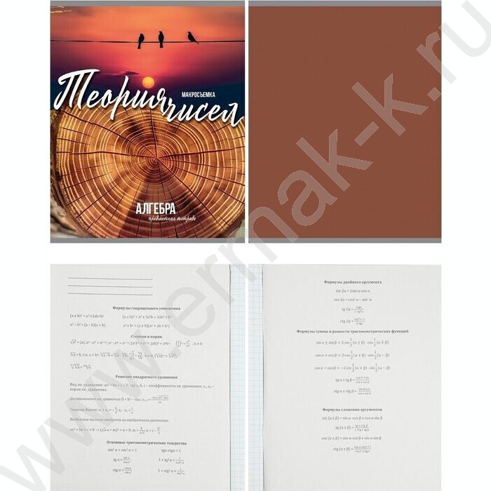 Тетрадь предметная 36л Набор 10шт "Мир вокруг" | Фото 3