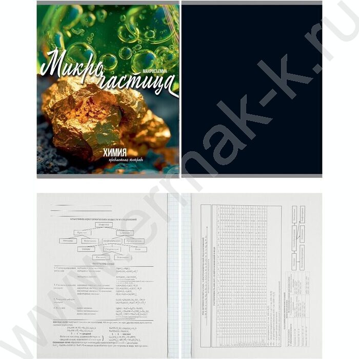 Тетрадь предметная 36л Набор 10шт "Мир вокруг" | Фото 7