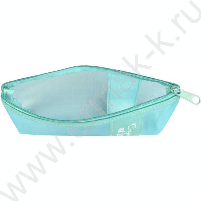 Пенал школьный искусственная кожа,нейлон молния "Твой день" шелкография | Фото 3