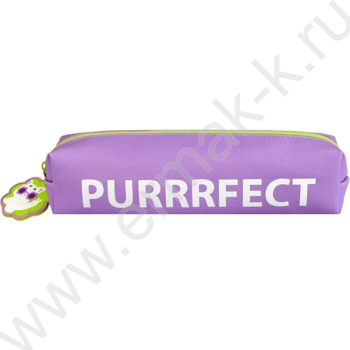 Пенал школьный искусственная кожа,цифровая печать молния "Котик в очках" | Фото 2