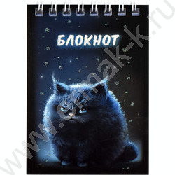 Блокнот  40л А7 спираль "Ночное облако" /лак/блестки | Фото 1