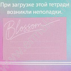 Наклейки д/тетрадей и учебников Нежные цвета /5л в наборе,кол-во наклеек на листе 4шт*7,5*5см | Фото 4