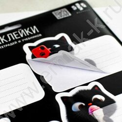 Наклейки д/тетрадей и учебников Чёрный кот/5л в наборе,кол-во наклеек на листе 4шт*9,5*7,6см | Фото 7