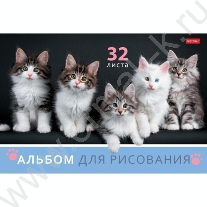 Альбом д/рисования 32л "Ассорти- Выпуск №4" 5видов | Фото 3
