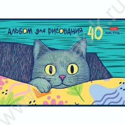Альбом д/рисования 40л "Котофей"  5видов | Фото 5