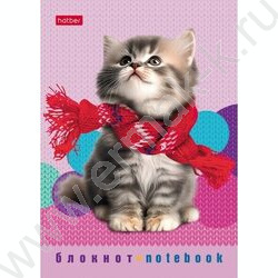 Блокнот  24л А6 "Песики и котики" /глянц. ламин./ ассорти | Фото 6
