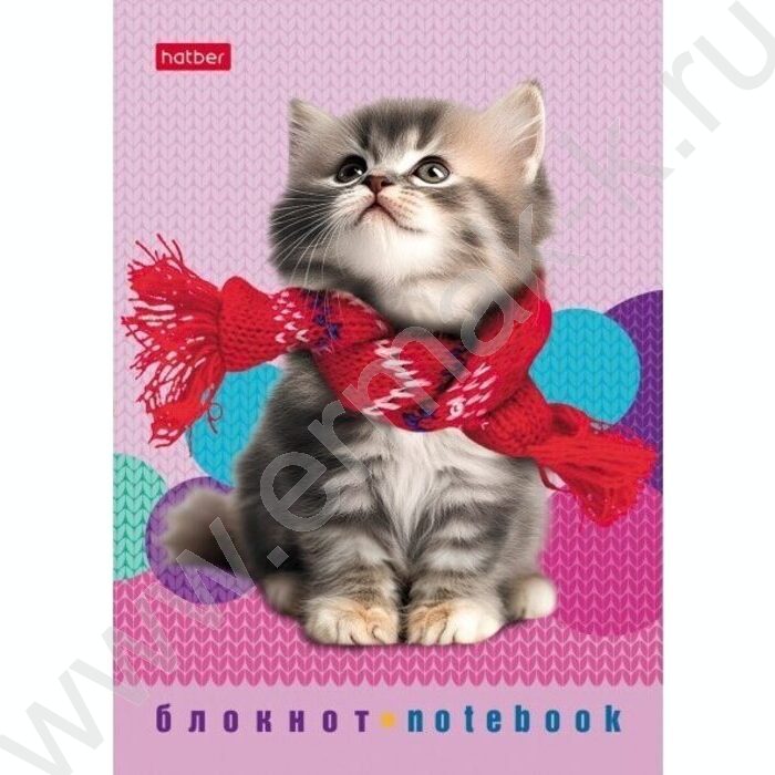 Блокнот  24л А6 "Песики и котики" /глянц. ламин./ ассорти | Фото 6