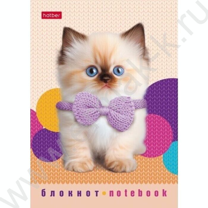 Блокнот  24л А6 "Песики и котики" /глянц. ламин./ ассорти | Фото 8