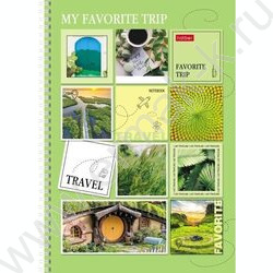 Тетрадь  80л А4 клетка /спираль /многоцветный срез/перфорация на отрыв/ "TRAVEL" | Фото 3