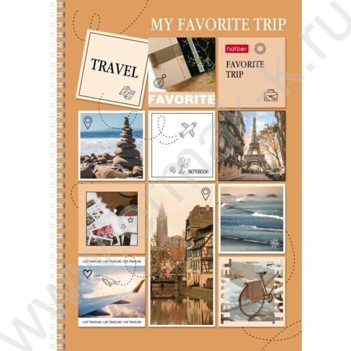 Тетрадь  80л А4 клетка /спираль /многоцветный срез/перфорация на отрыв/ "TRAVEL" | Фото 4