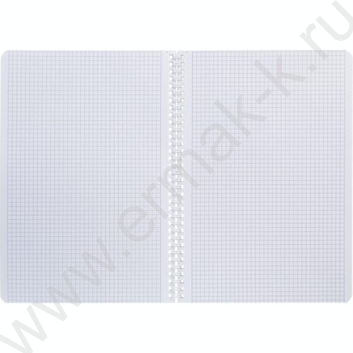Тетрадь  80л А4 клетка /спираль /перфорация на отрыв/ "Mist" ламинация Soft-touch | Фото 3