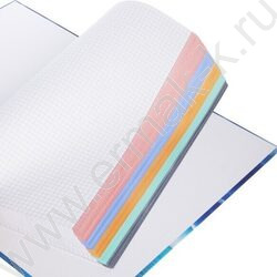 Тетрадь 120л А4 клетка/спираль/тв.обл. "Color Line" /многоцветный срез, ламинация Soft-touch | Фото 2